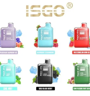 ISGO NEW YORK 8000 PUFFS