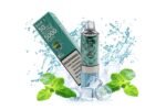 Danci-Max-5000-Vape.webp